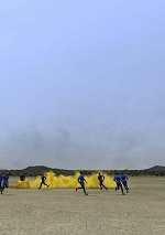 Exercise Djibouti (2012)